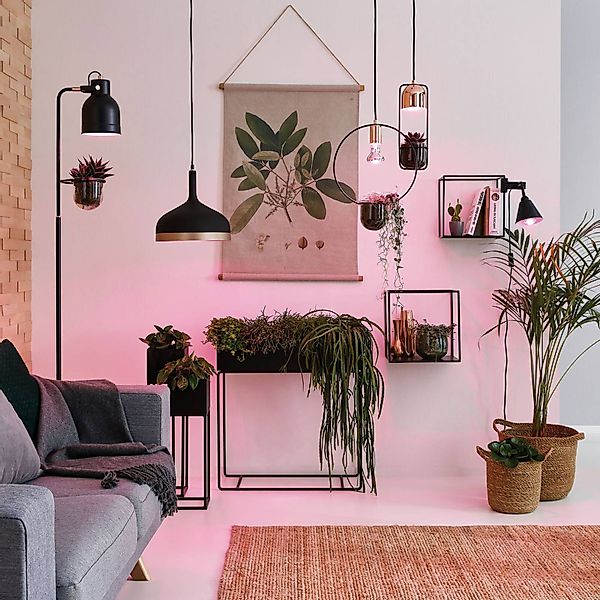Paulmann LED-Leuchtmittel Paulmann LED Grow Green günstig online kaufen