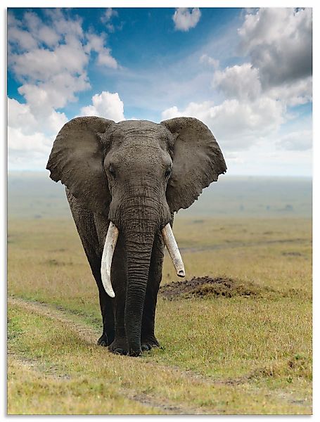 Artland Wandbild "Elefant" Wildtiere 1 Stk. tlg. als Alubild, Leinwandbild günstig online kaufen