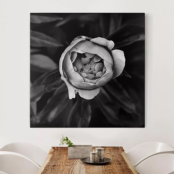 Leinwandbild Blumen - Quadrat Pfingstrosenblüte vor Blättern Schwarz Weiß günstig online kaufen