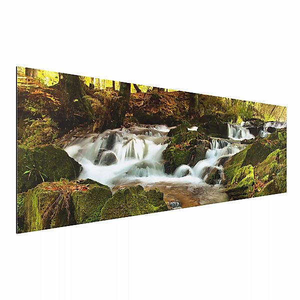 Alu-Dibond Bild - Panorama Wasserfall herbstlicher Wald günstig online kaufen