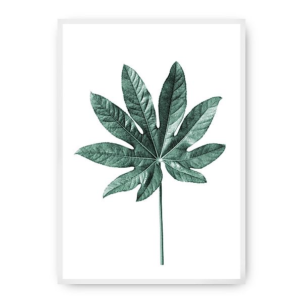Poster Leaf Emerald Green, 70 x 100 cm , Rahmen wählen: weiss günstig online kaufen