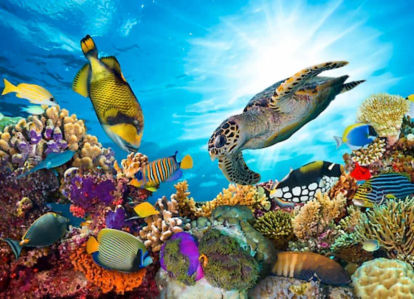 Papermoon Fototapete »Coral Reef Fiji« günstig online kaufen