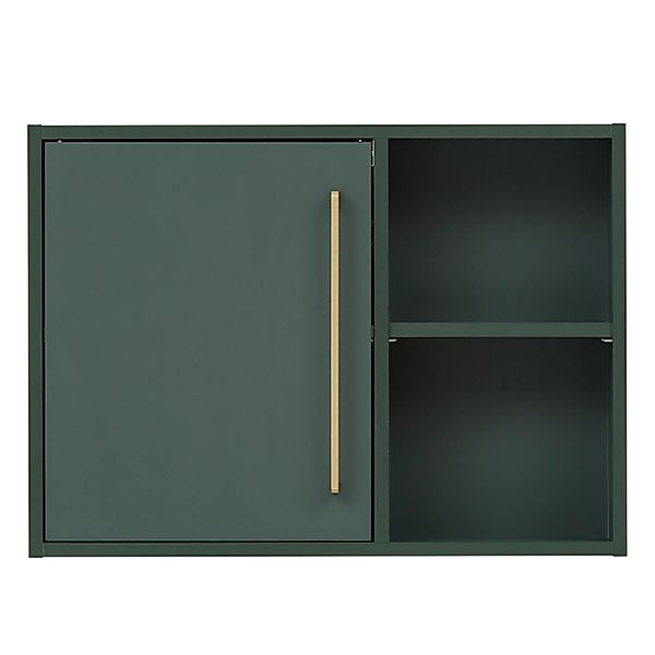 Schildmeyer Hängeschrank Kent O 670 Waldgrün 48,4 cm x 66,8 cm x 16 cm günstig online kaufen