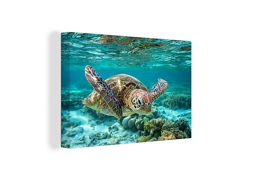 OneMillionCanvasses® Leinwandbild Eine Schildkröte schwimmt unter Wasser in günstig online kaufen