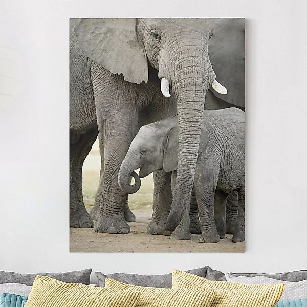 Leinwandbild Elefant - Hochformat Elefantenliebe günstig online kaufen