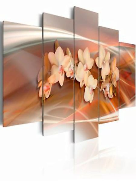 artgeist Wandbild Orchidee in warmen Grautönen mehrfarbig Gr. 200 x 100 günstig online kaufen