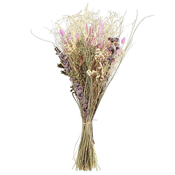 Trockenblume Trockenblumenstrauß Landhausstil Eukalyptus Deko Creme günstig online kaufen