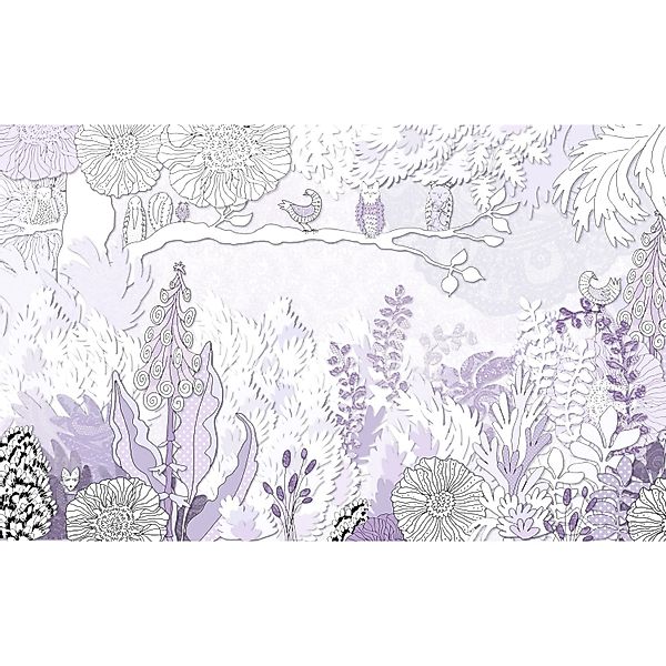 Komar Fototapete Vlies Dreaming  400 x 250 cm günstig online kaufen
