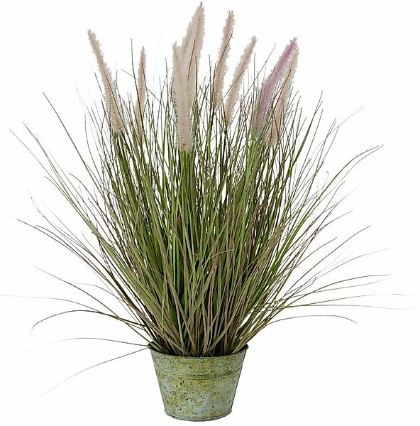 Kunstpflanze Fuchsschwanzgras Fuchsschwanzgras, I.GE.A., Höhe 55 cm günstig online kaufen
