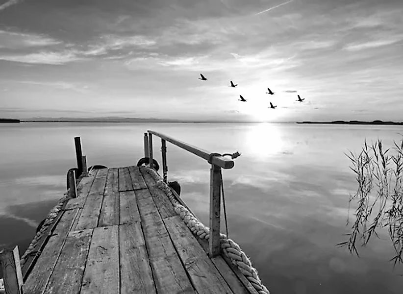 Papermoon Fototapete »Steg am Wasser Schwarz & Weiß« günstig online kaufen