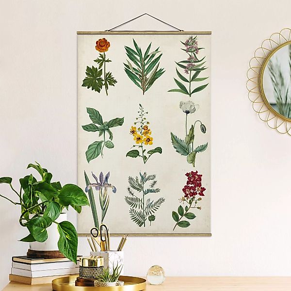 Stoffbild Blumen mit Posterleisten - Hochformat Botanische Schautafel II günstig online kaufen