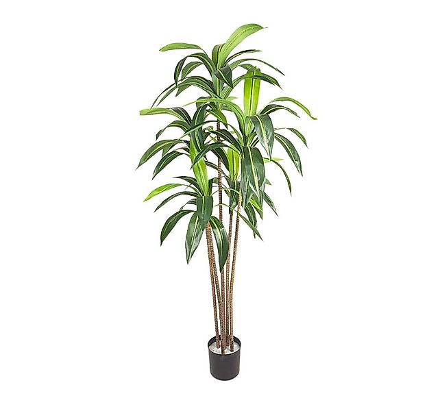 Künstliche Zimmerpflanze Garten Künstlicher Baum,180cm Faux 5 Stämme Brasil günstig online kaufen