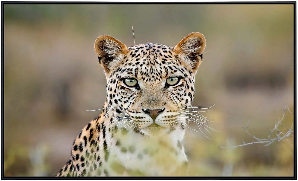 Papermoon Infrarotheizung »Leopardenporträt«, sehr angenehme Strahlungswärm günstig online kaufen