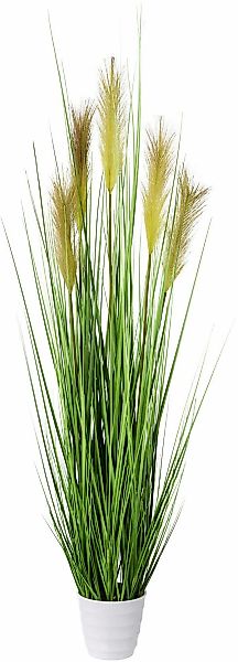 Creativ green Kunstgras günstig online kaufen