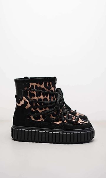 ZAP günstig online kaufen