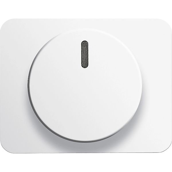 Busch-Jaeger Zentralscheibe mit Drehknopf, Befestigungsmutter und Glimmlamp günstig online kaufen