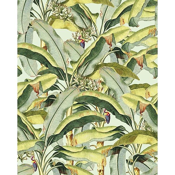 Komar Vliestapete Banana Grove 200 cm x 250 cm günstig online kaufen