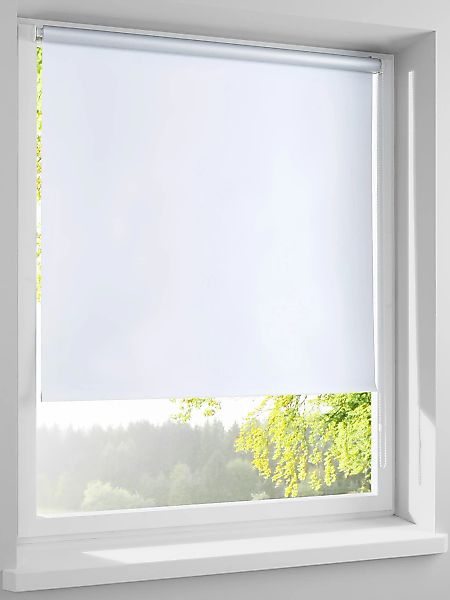 heine home Jalousie günstig online kaufen