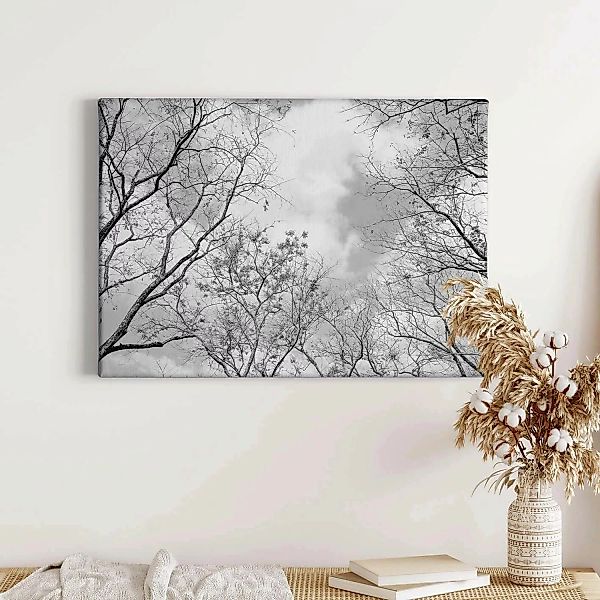Bricoflor Schwarz Weiß Wald Bild Auf Leinwand Baumkrone Bild Mit Himmel Für günstig online kaufen