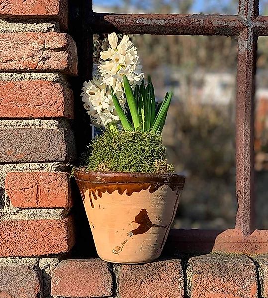 Harztopf zum Bepflanzen, tolle Deko für Blumen, als Planzgefäß oder Kerzenh günstig online kaufen