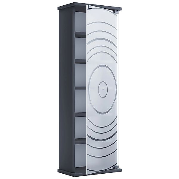 ebuy24 TilanoM Vitrinenschrank CD DVD 6 Ablagen 1 Tür Anthrazit günstig online kaufen