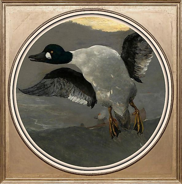 queence Acrylglasbild "Gans", Kunst-Vögel-Vogelbilder-Ente-Enten-Gemälde, F günstig online kaufen