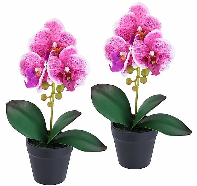 I.GE.A. Kunstorchidee "Orchidee im Topf 2er Set", Künstliche Phalaenopsis 3 günstig online kaufen