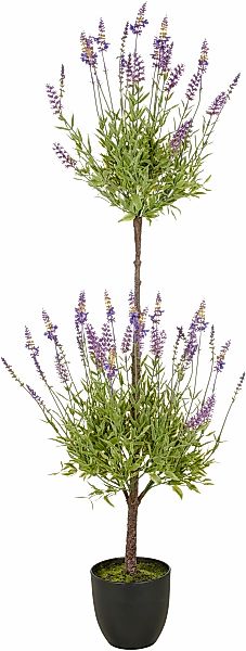 Creativ green Kunstpflanze "Lavendel", mit filigranen Lavendelbüten günstig online kaufen