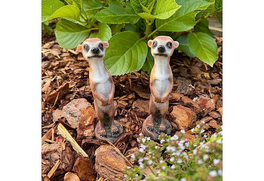 Online-Fuchs Gartenfigur Erdmännchen Deko Figuren im Set für den Garten - W günstig online kaufen