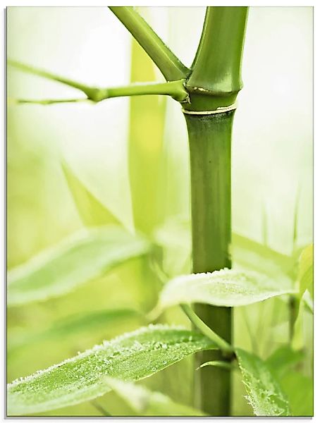 Artland Glasbild "Bambus Zweig", Gräser, (1 St.) günstig online kaufen