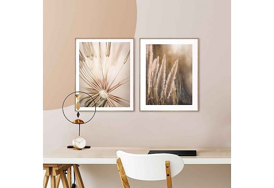 Reinders! Wandbild Natur Botanisch - Pampas - Löwenzahn - Nahaufnahme, (2 S günstig online kaufen
