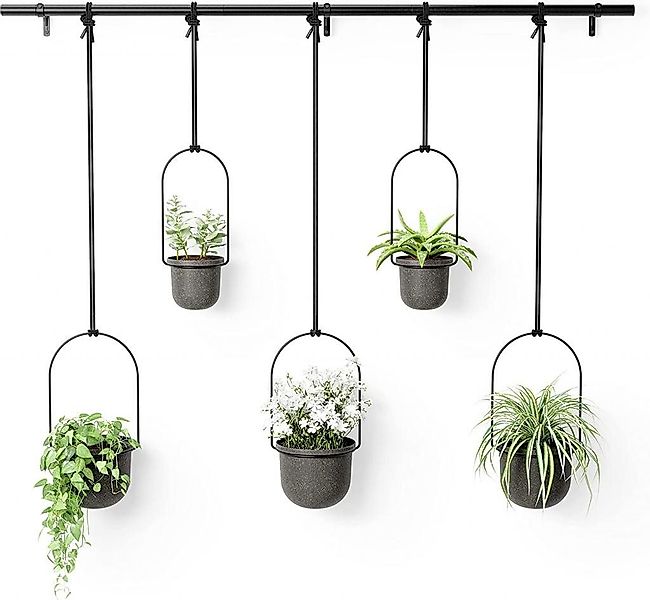 Umbra Blumenampel Triflora Hängeblumentopf, Wandvase, Blumentopf, günstig online kaufen