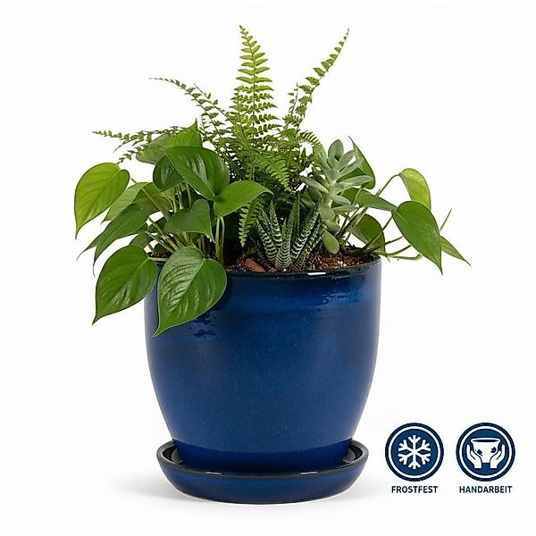 Teramico Pflanzkübel Blumentopf Pflanzgefäß Modell "EggPot" günstig online kaufen