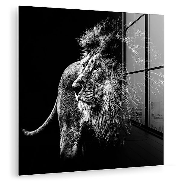 MuchoWow Acrylglasbild Tiere - Wild - günstig online kaufen