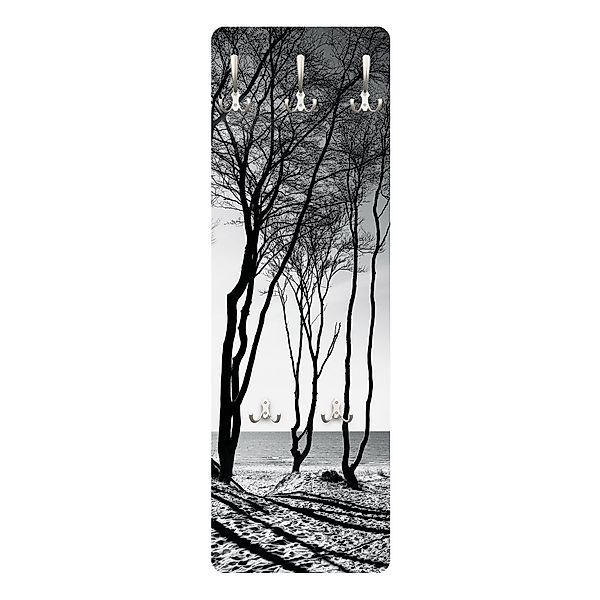 Bilderdepot24 Garderobenpaneel schwarz-weiß Bäume Wald Natur günstig online kaufen