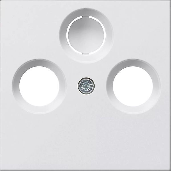Gira Zentralplatte rws-gl für Koax-Steckdose 086903 günstig online kaufen