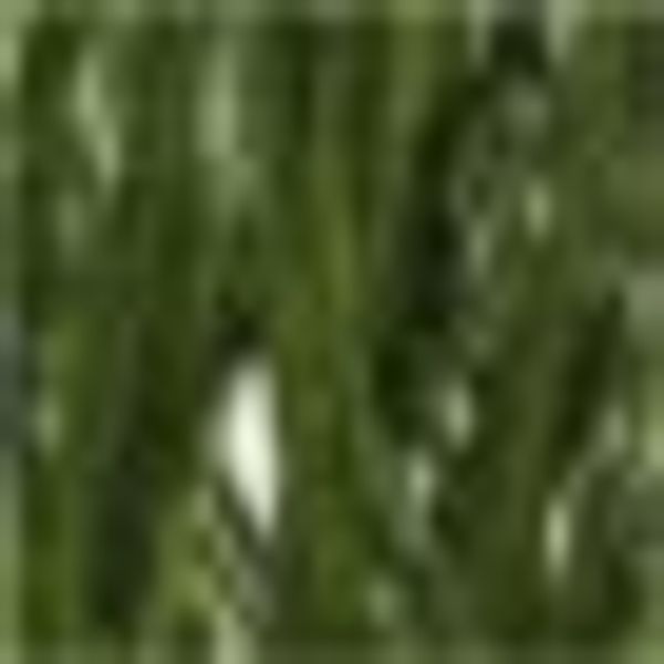 Kunstgras Gras, Creativ green, Höhe 120 günstig online kaufen