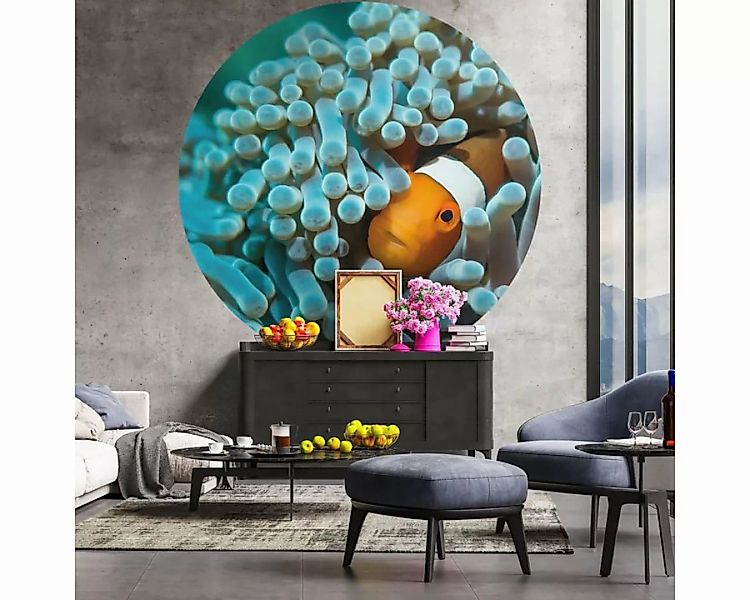 vidaXL Hintergrundtuch Tapetenkreis "Nemo der Anemonenfisch" 142.5 cm günstig online kaufen