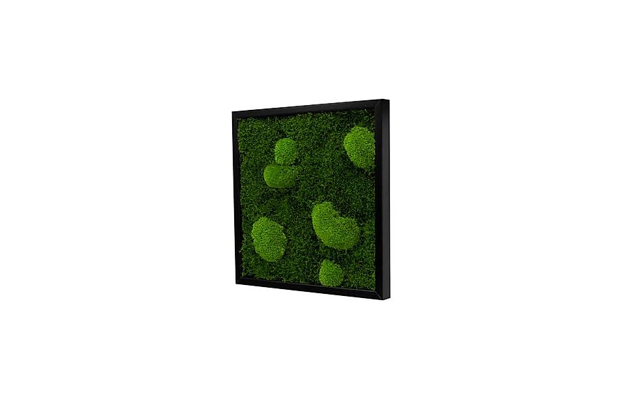 Moos-Design Bilderrahmen Moos Bild Forest Design günstig online kaufen