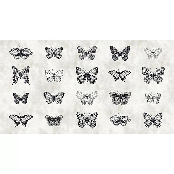 Fototapete Schmetterlinge Schwarz Weiß 5,00 m x 2,70 m FSC® günstig online kaufen