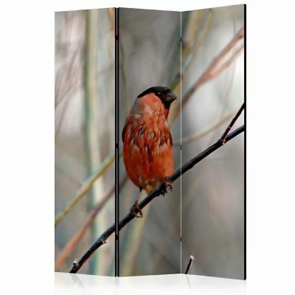 artgeist Paravent Bullfinch in the forest [Room Dividers] mehrfarbig Gr. 13 günstig online kaufen