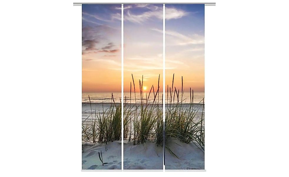 HOME WOHNIDEEN Schiebegardine EVENING (3 St), Klettband, blickdicht, HxB: 2 günstig online kaufen