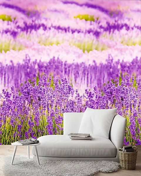 Andiamo Vliestapete »Lavendelblüten« günstig online kaufen