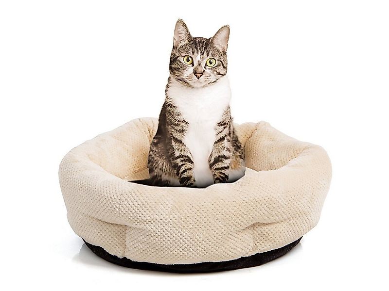 Canadian Cat Company Tierbett Katzenbett Cloey, beige, ca. 50 x 50 x 15 cm, günstig online kaufen
