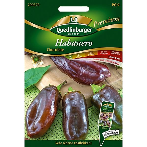 Quedlinburger Habanero-Mexikanischer Chilli Chocolate Loses Saatgut günstig online kaufen