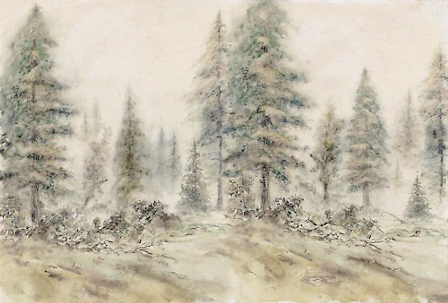 Architects Paper Fototapete »Atelier 47 Aquarel Forest 2« Wald glatt Vlies, günstig online kaufen