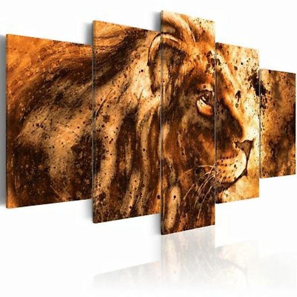 artgeist Wandbild Beautiful Lion braun-kombi Gr. 200 x 100 günstig online kaufen