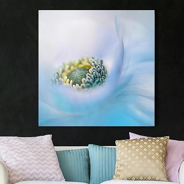 Leinwandbild - Quadrat Anemone auf dem Fluss günstig online kaufen