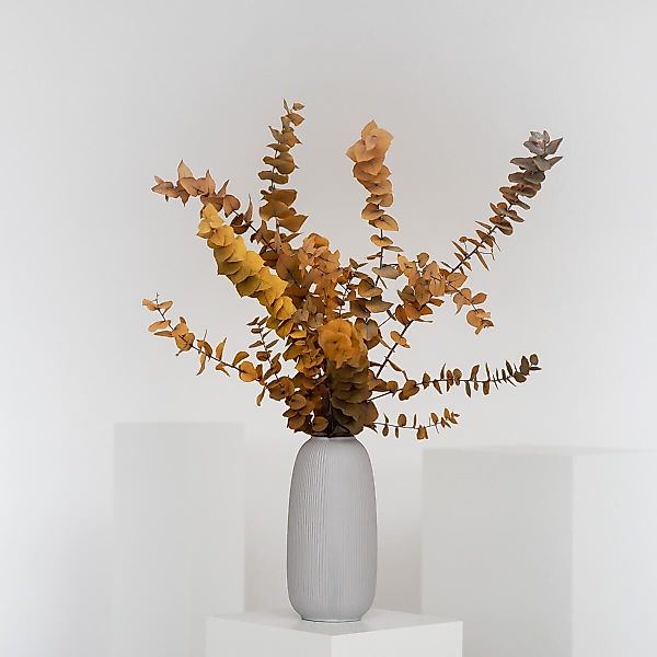 Trockenblume Eukalyptus Stuartiana, LYKKE & You günstig online kaufen