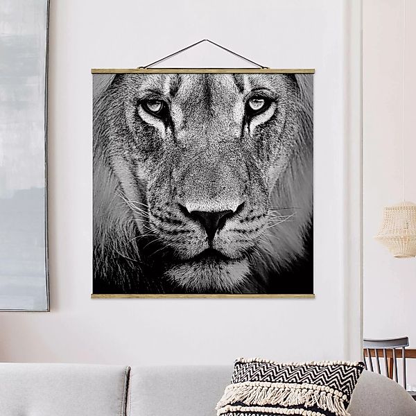 Stoffbild Tiere mit Posterleisten - Quadrat Alter Löwe günstig online kaufen